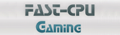 Fast CPU